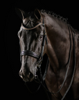 Bridle - Knight Power Double (Black)