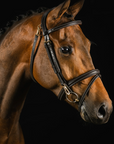 Bridle - Ortega Snaffle (Brown)