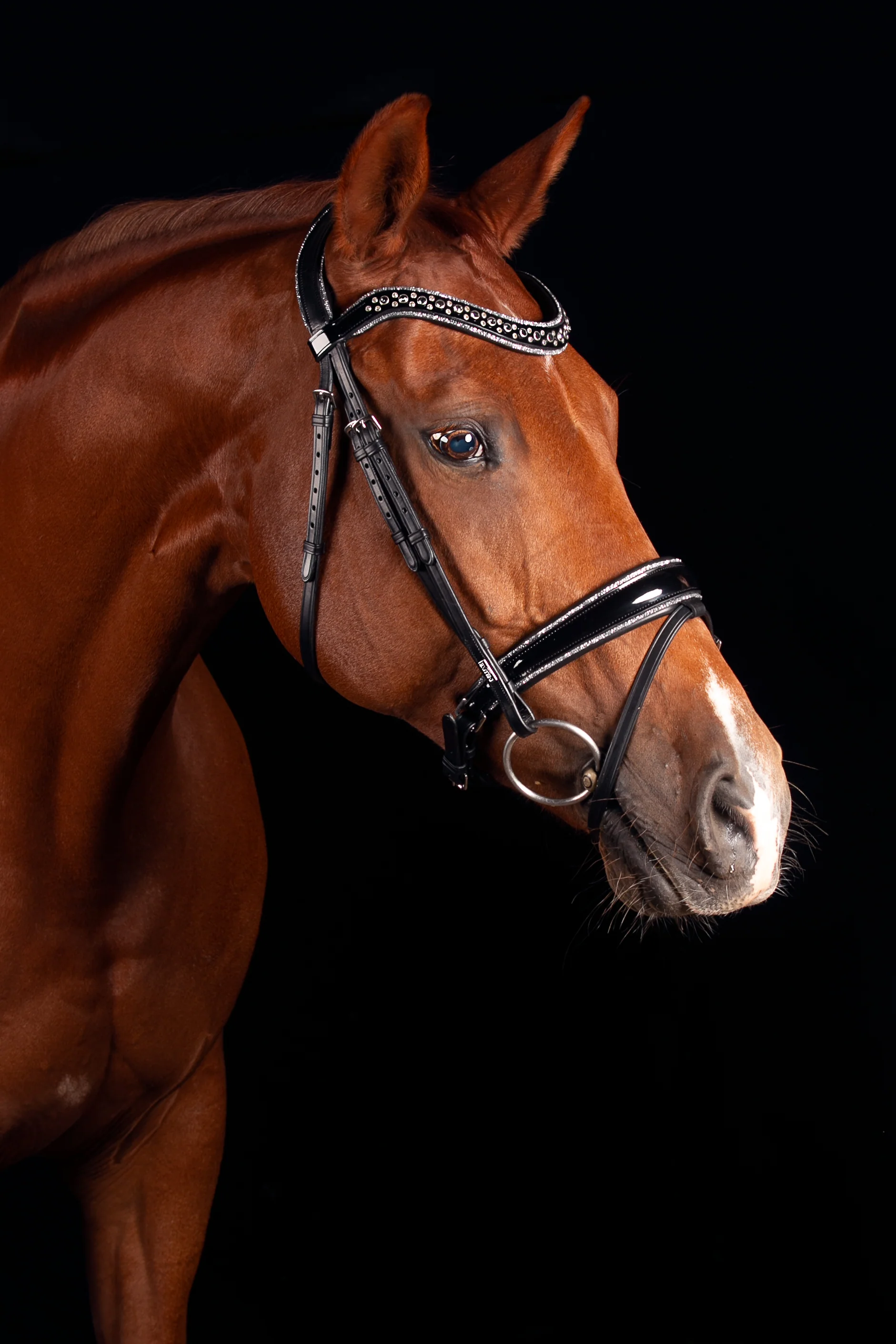 Bridle - Johnny Silver Snaffle (Black)