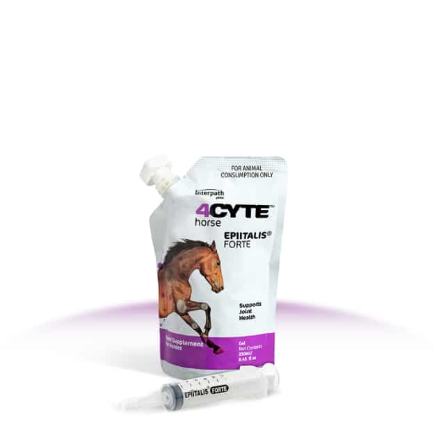 4Cyte Epiitalis Forte Gel (Equine)