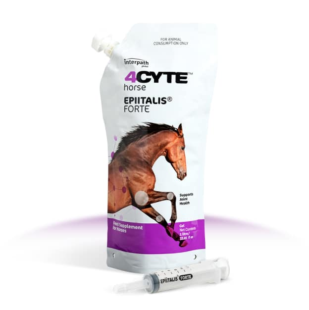 4Cyte Epiitalis Forte Gel (Equine)