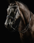 Bridle - Johnny Silver Double (Black)