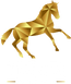 Tempi Equestrian