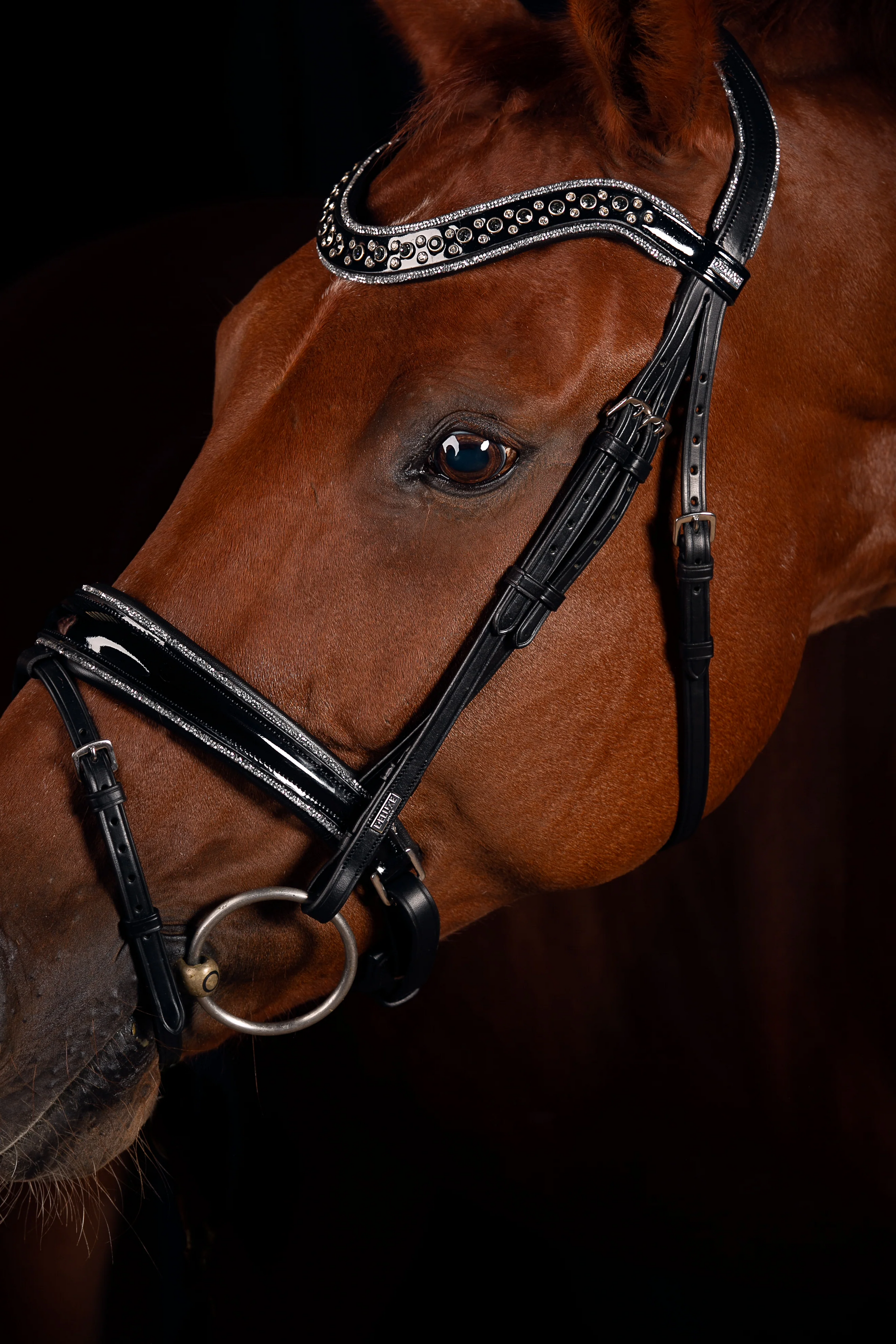 Bridle - Johnny Silver Snaffle (Black)